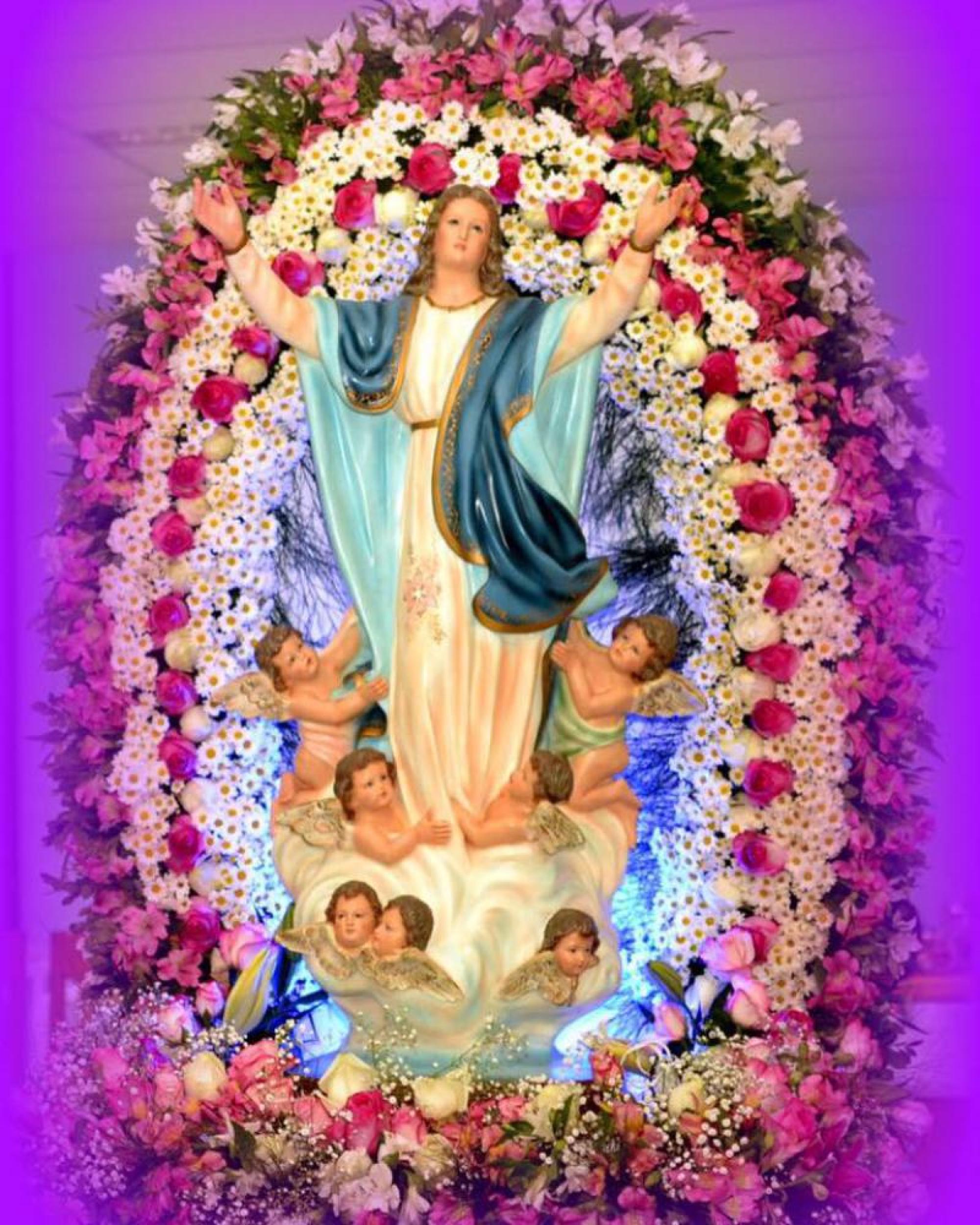 Padre Marcos Rogério